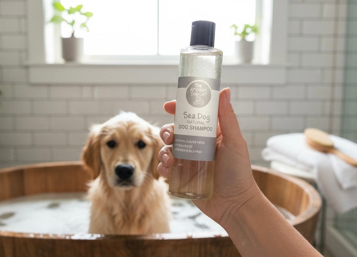 Natural Oatmeal & Aloe Vera Dog Shampoo
