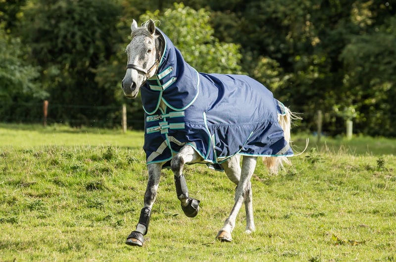 50g Detachable Neck Turnout Rug - Navy