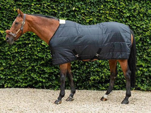 100g Horse Under Rug With Surcingles - Wellbeing Pets