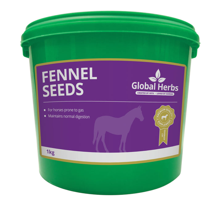 Global Herbs Fennel Seeds for Horses