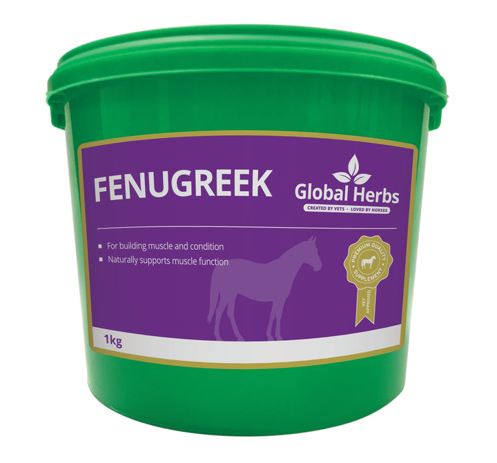 Global Herbs Fenugreek 1kg for Horses