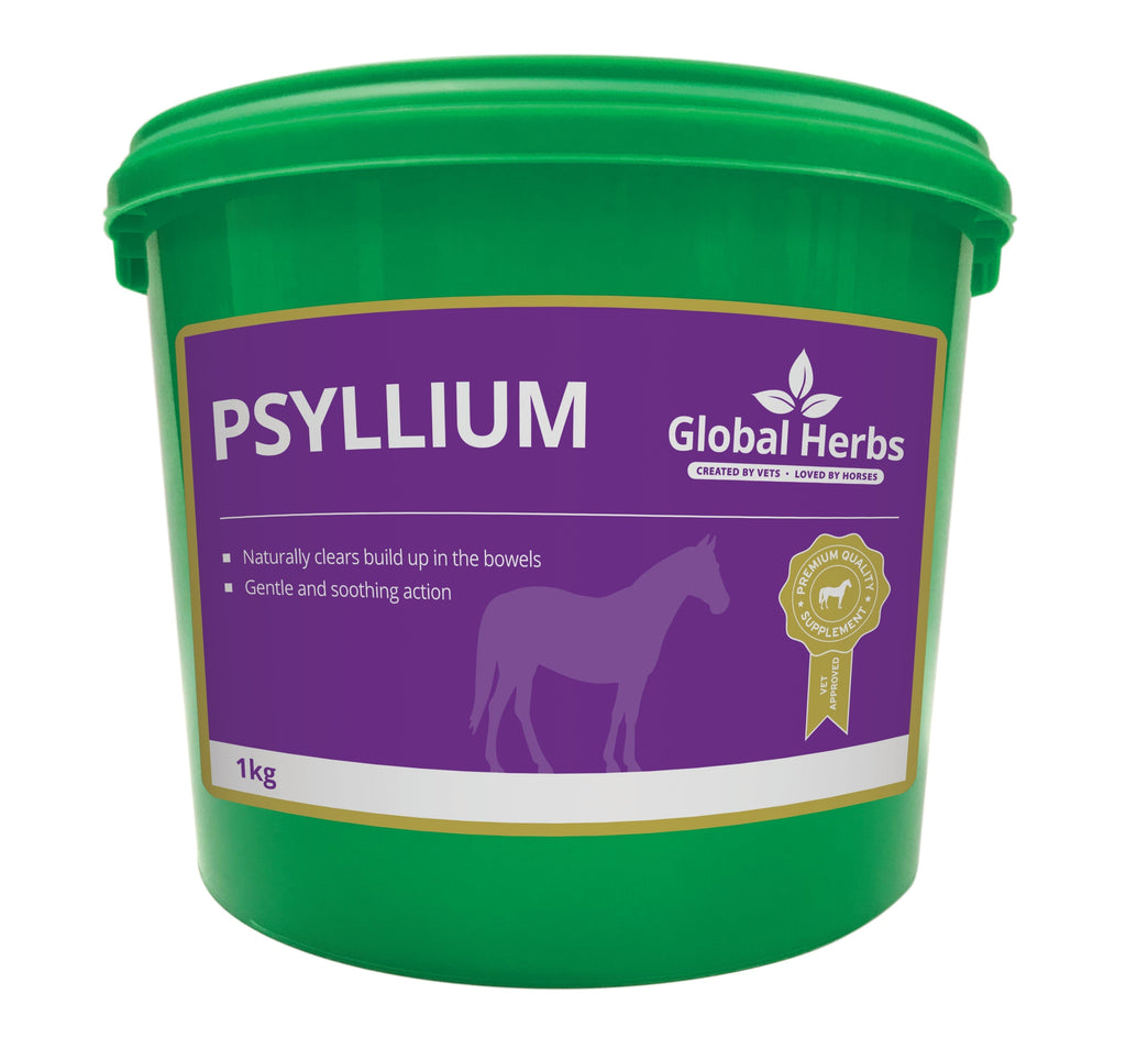 Psyllium 1kg - Global Herbs - product image - Wellbeing Pets