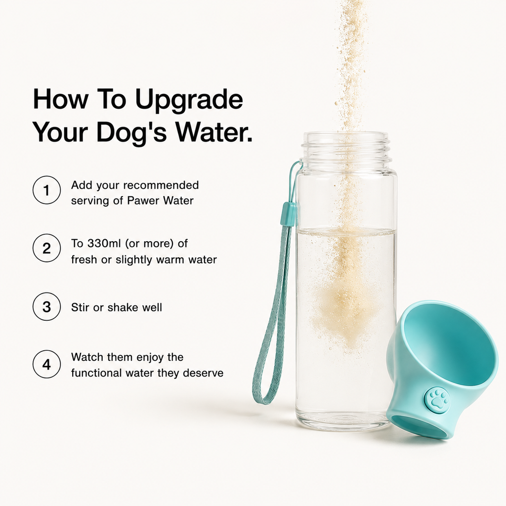 Pawer Water Mobility & Glow | 12 Sticks by Pawer Water – image 4