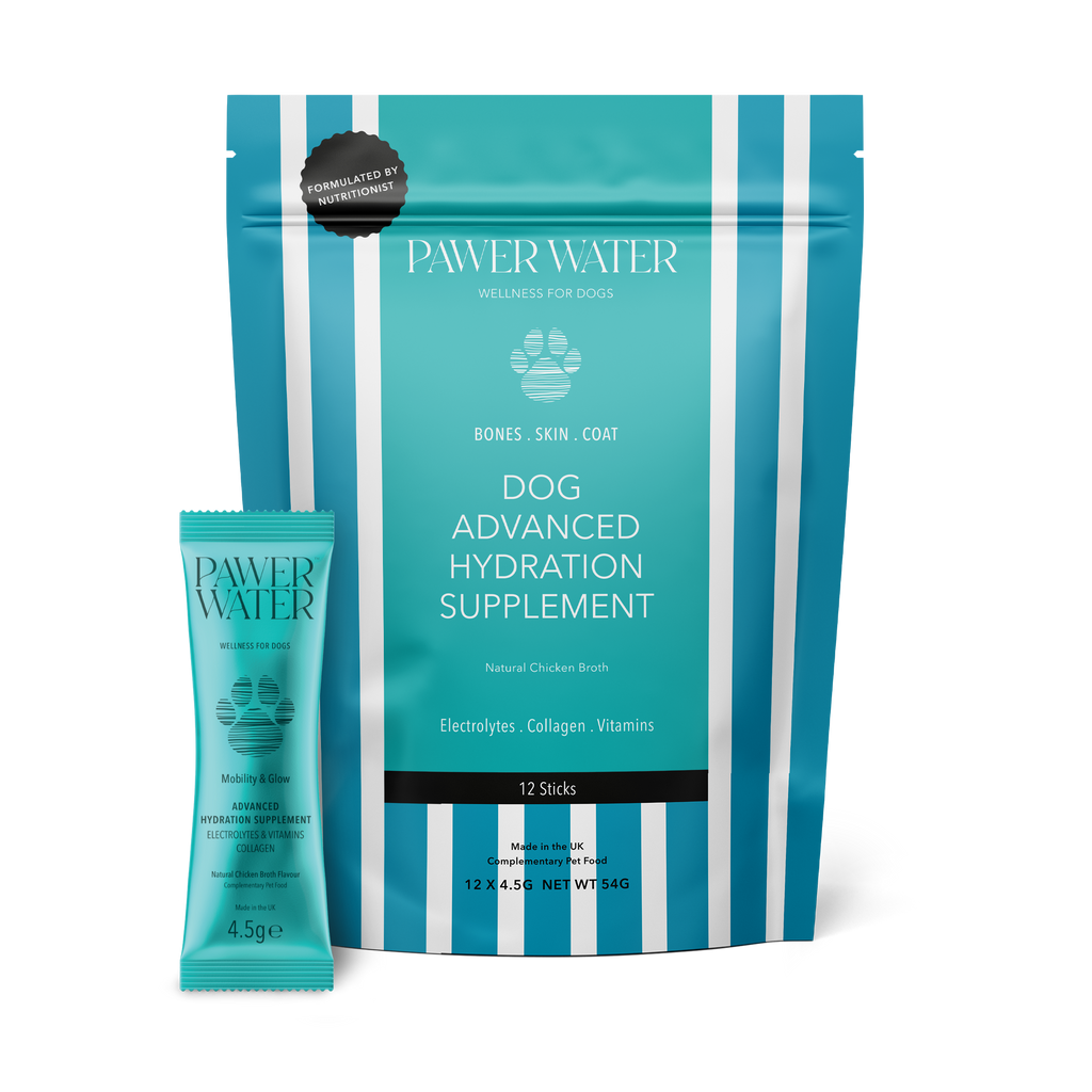 Pawer Water Mobility & Glow | 12 Sticks by Pawer Water – image 1