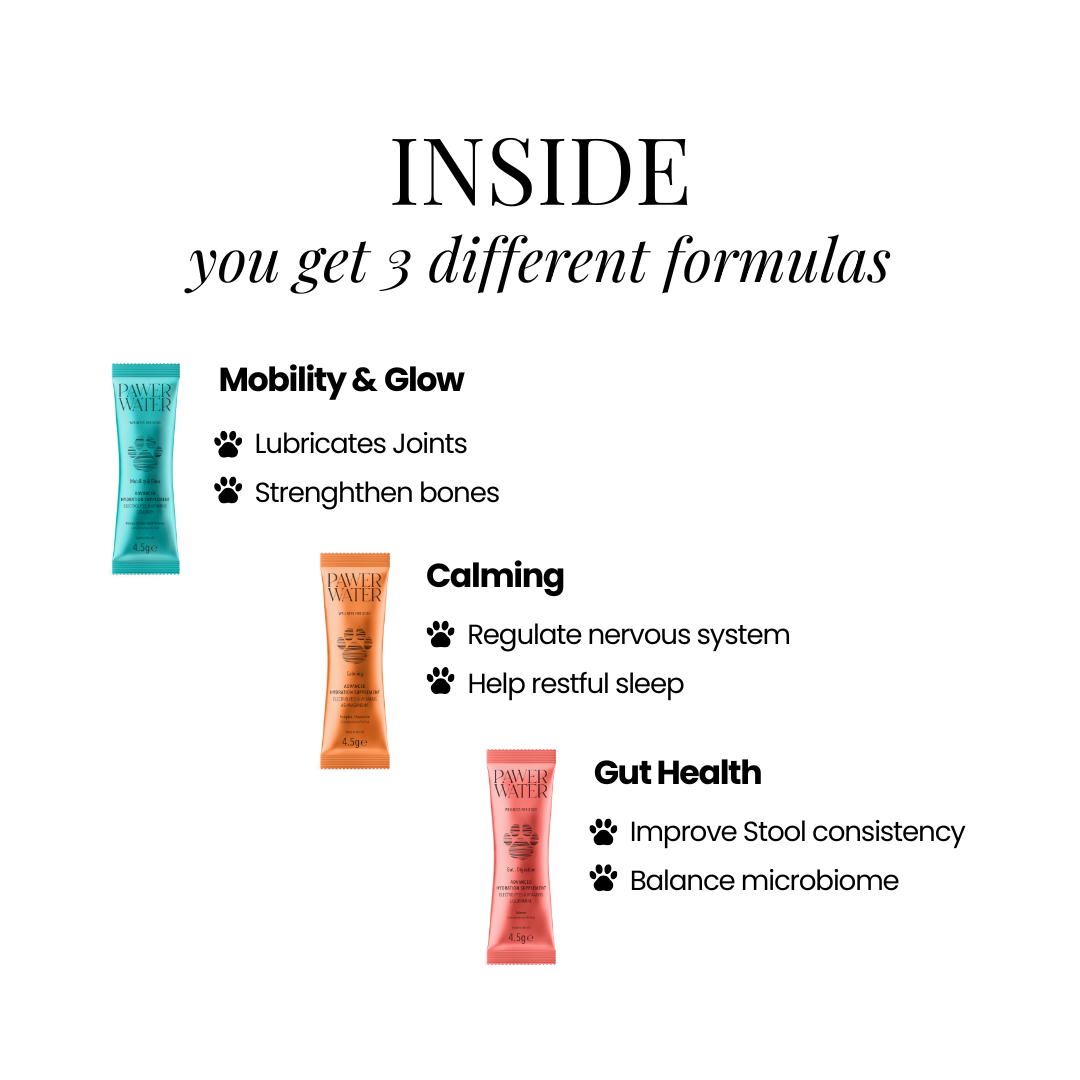 Pawer Water Wellness Collection | 7 Sticks by Pawer Water – image 3
