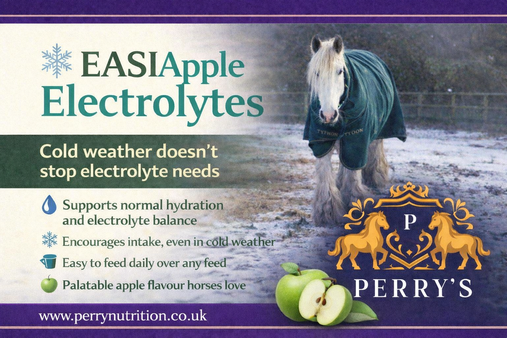 Perry Nutrition EASIApple Electrolytes for Horses