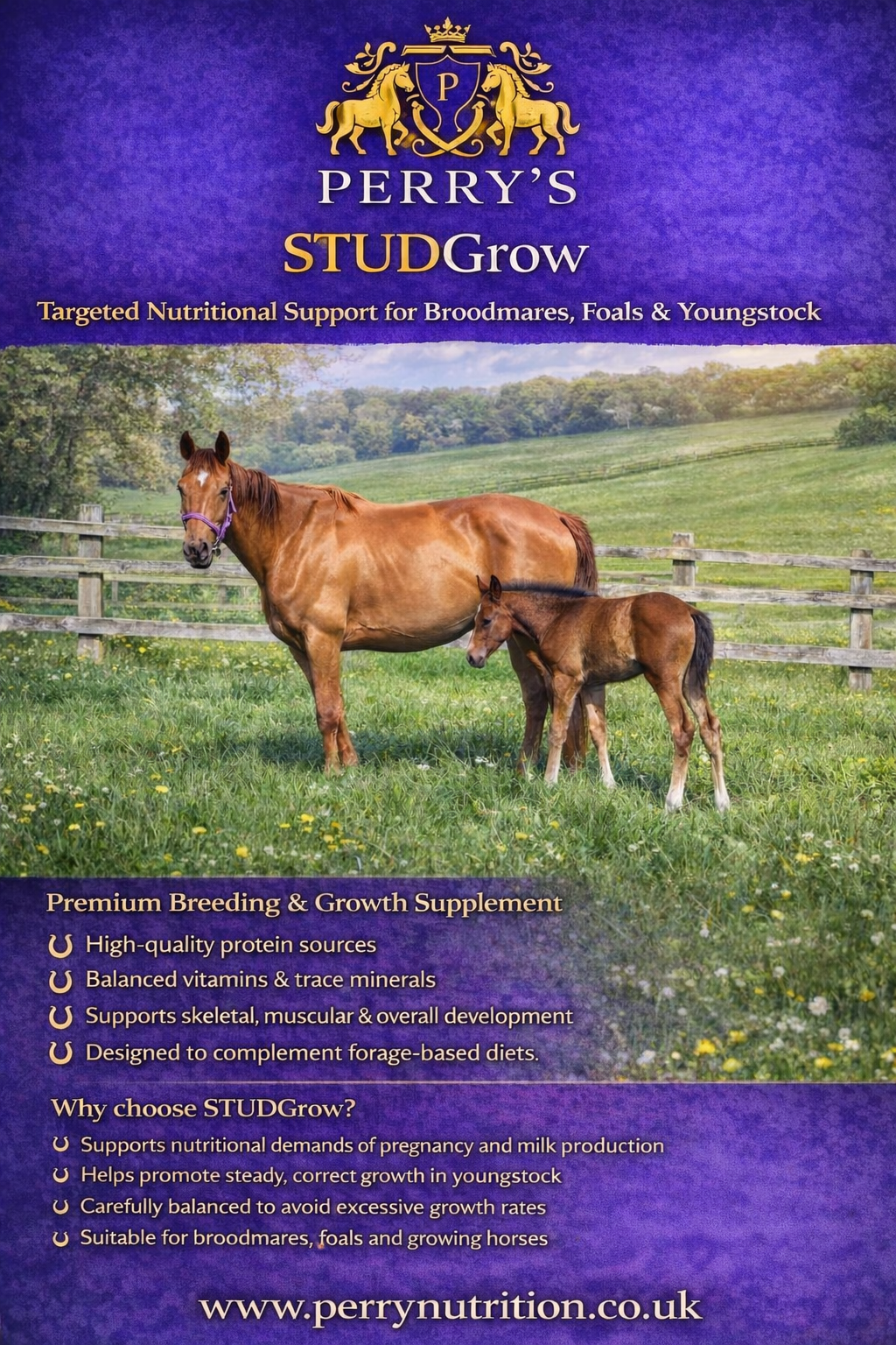 Perry Nutrition STUDGrow | Breeding & Youngstock 15kg