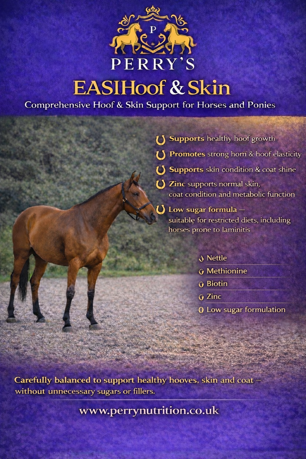 Perry Nutrition EASIHoof & Skin for Horses