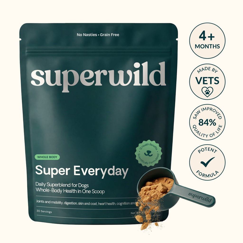 Super Everyday Daily Wellness Powder for Dogs by Superwild – image 2