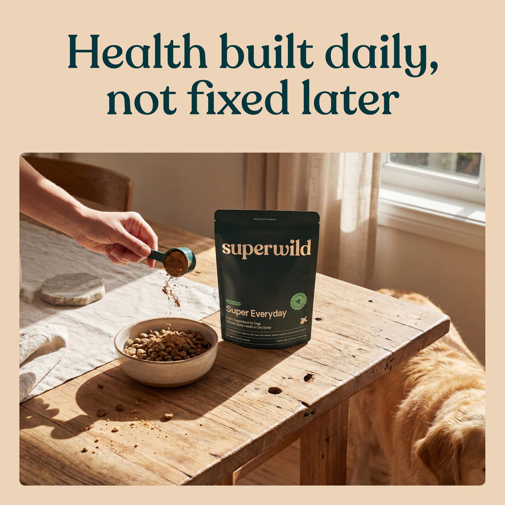 Super Everyday Daily Wellness Powder for Dogs by Superwild – image 10