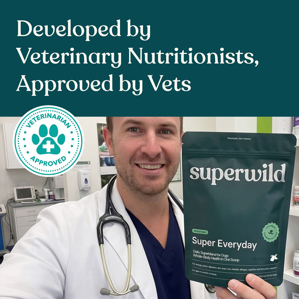 Super Everyday Daily Wellness Powder for Dogs by Superwild – image 7