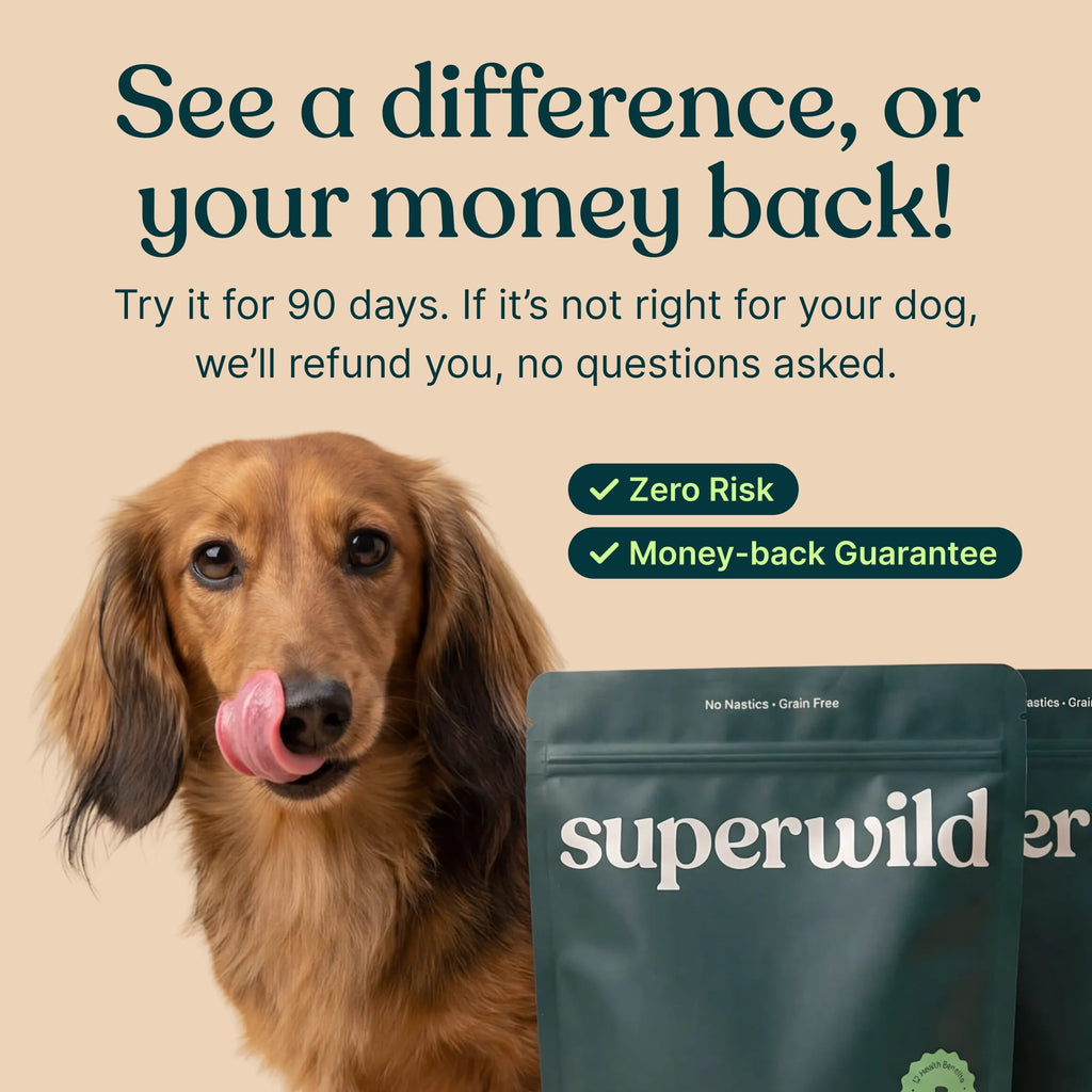 Super Everyday Daily Wellness Powder for Dogs by Superwild – image 8
