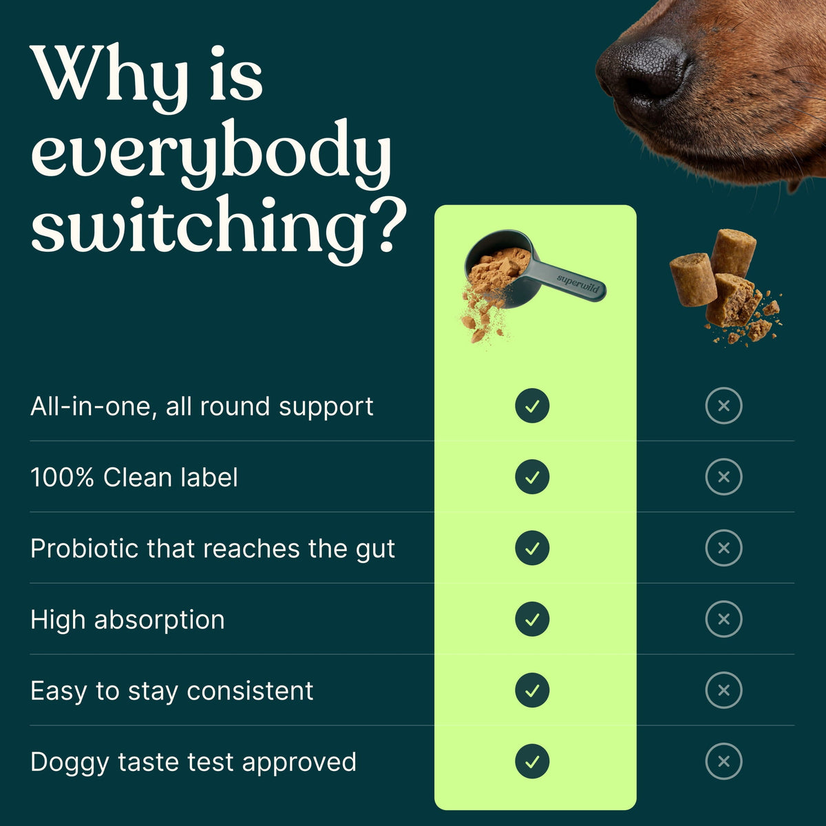 Super Everyday Daily Wellness Powder for Dogs by Superwild – image 9