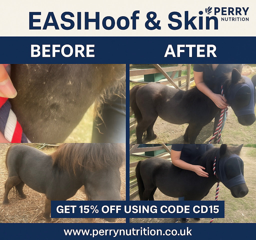 Perry Nutrition EASIHoof & Skin for Horses