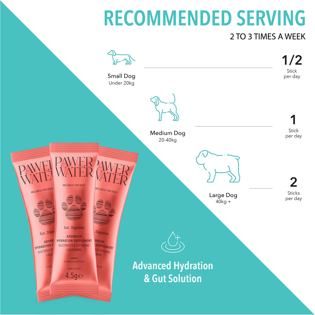 Pawer Water Gut Support | 5 Sticks by Pawer Water – image 6