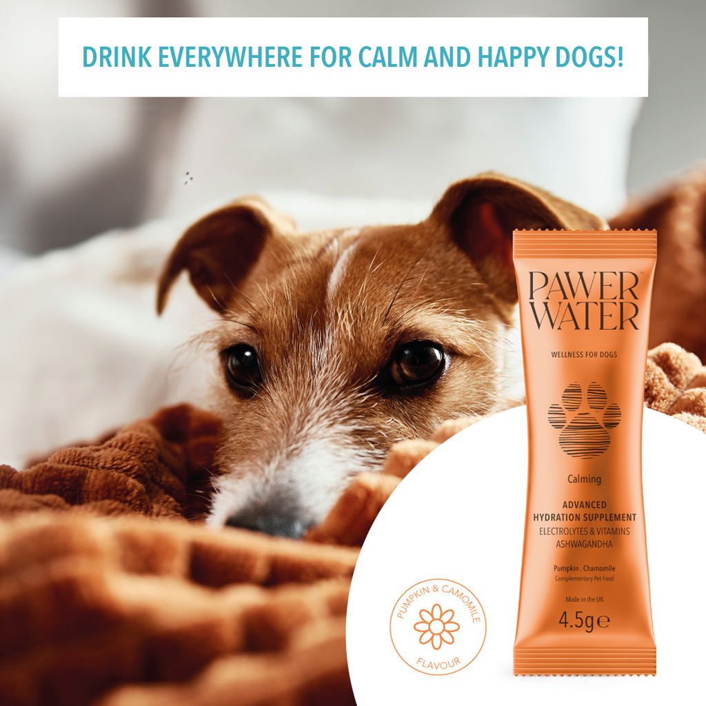 Pawer Water Calming | 5 Sticks by Pawer Water – image 6