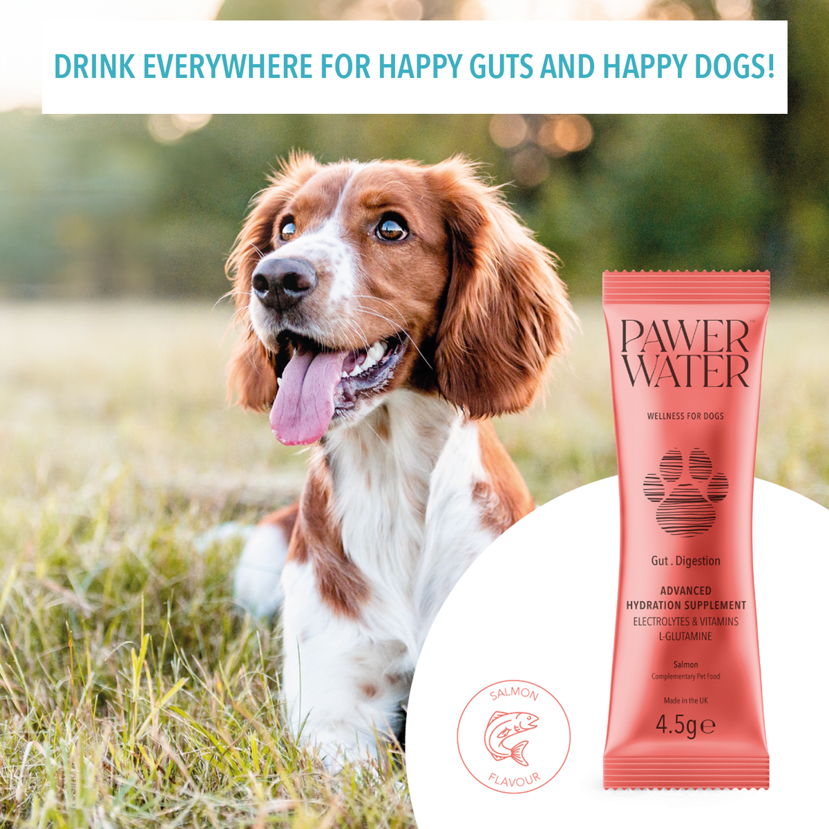 Pawer Water Gut Support | 5 Sticks by Pawer Water – image 7