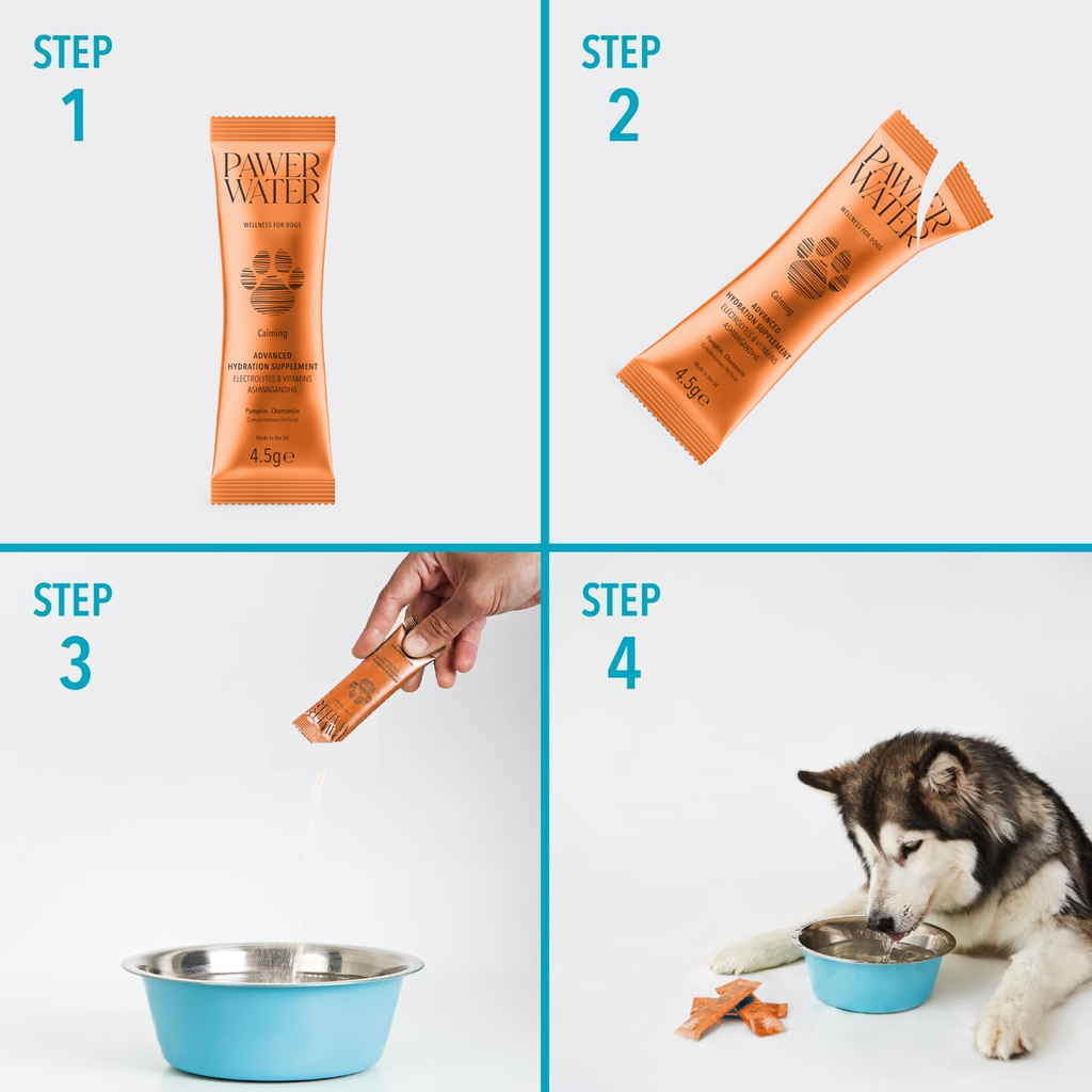 Pawer Water Ultimate Wellness Bundle | 36 Sticks by Pawer Water – image 7