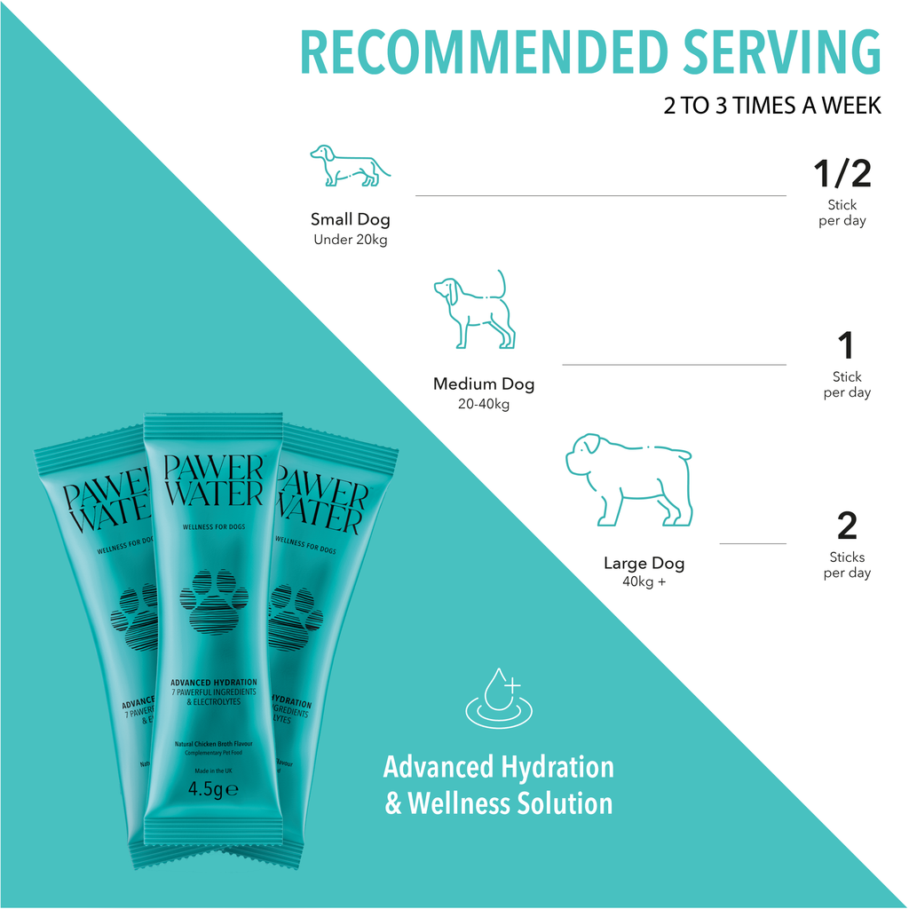 Pawer Water Hydration & Collagen Bundle | 36 Sticks by Pawer Water – image 4