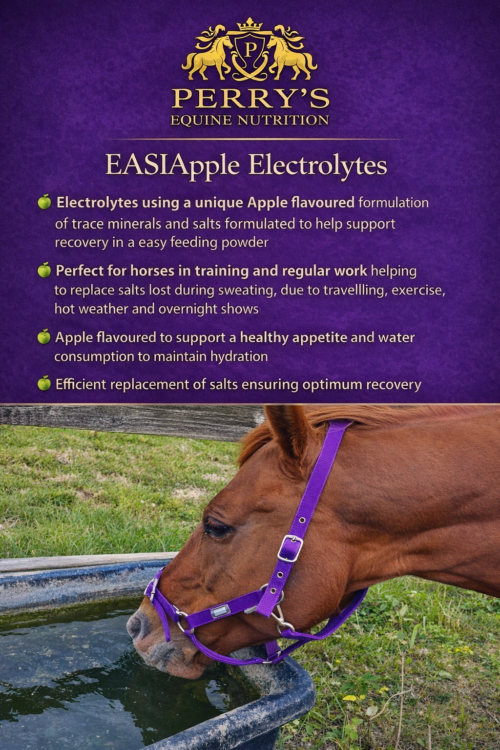 Perry Nutrition EASIApple Electrolytes for Horses