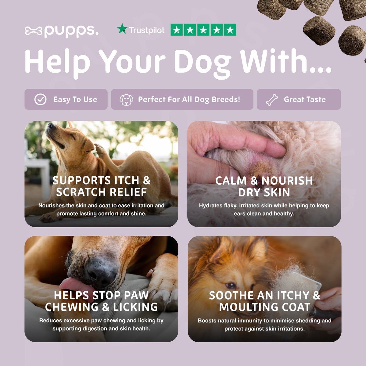 Itch Relief Treats for Dogs by Pupps – image 6
