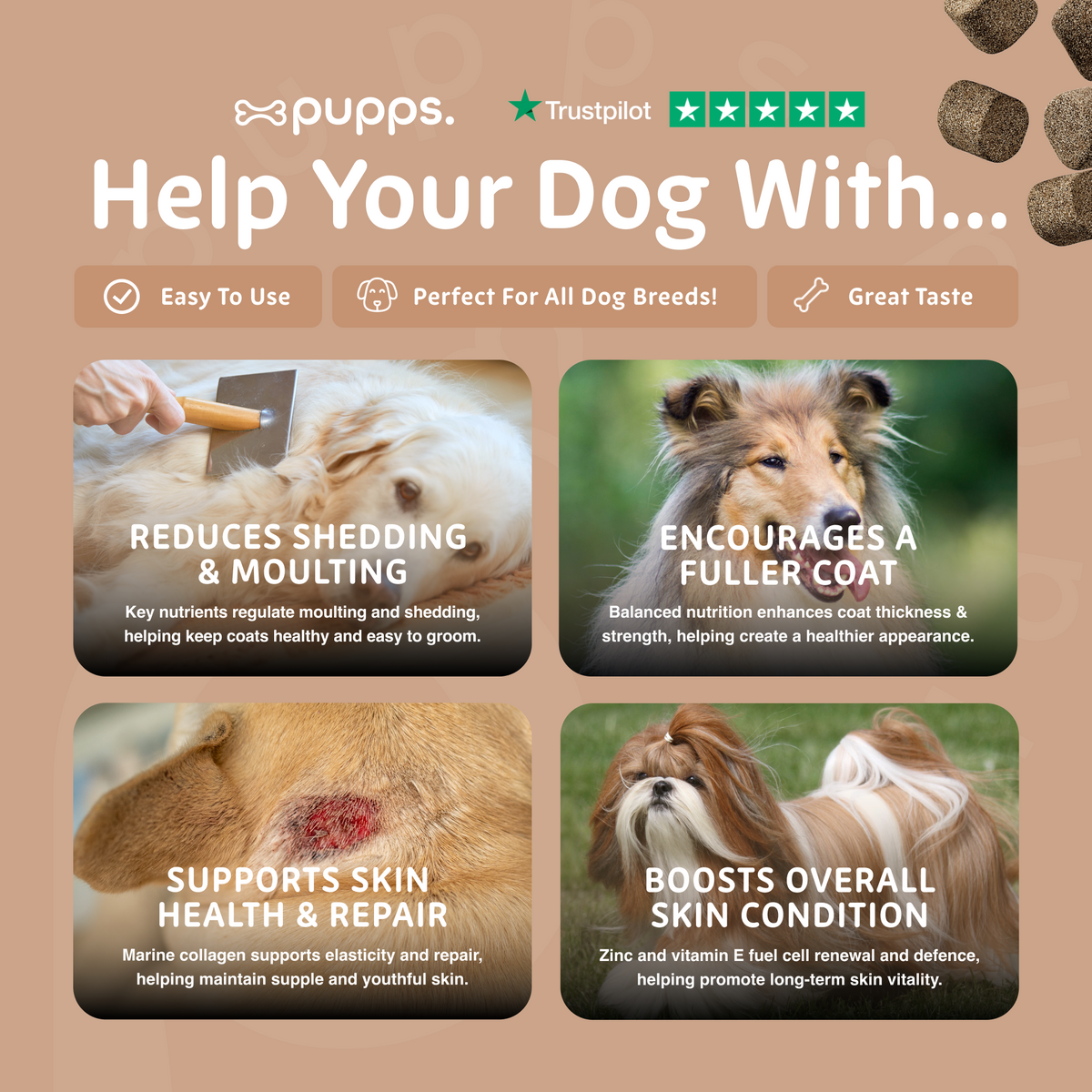 Skin & Coat Treats for Dogs by Pupps – image 6
