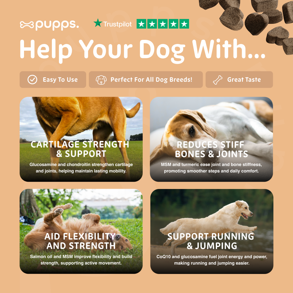 Hip & Joint Treats for Dogs by Pupps – image 6