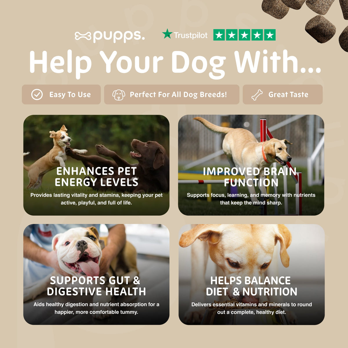 Multivitamin Treats for Dogs by Pupps – image 3