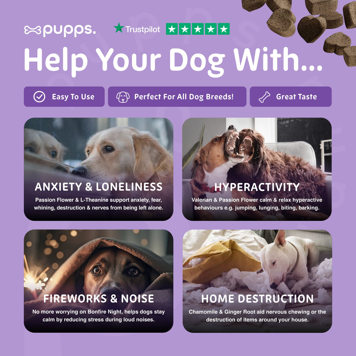 Calming Treats for Dogs by Pupps – image 6
