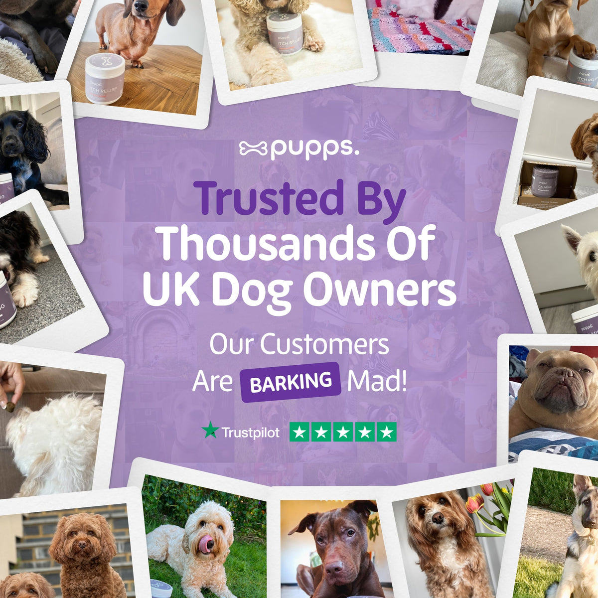 Calming Treats for Dogs by Pupps – image 9