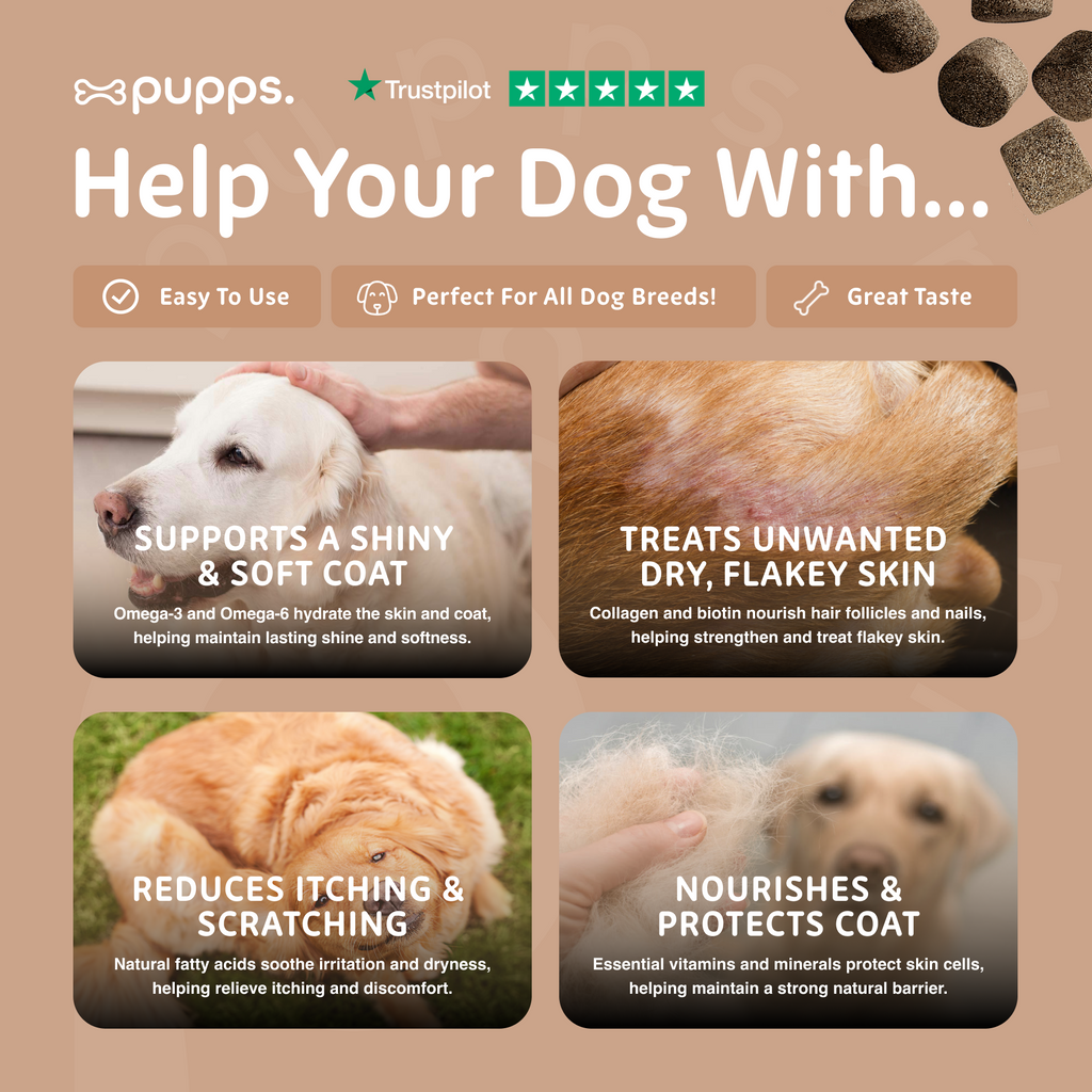 Skin & Coat Treats for Dogs by Pupps – image 5