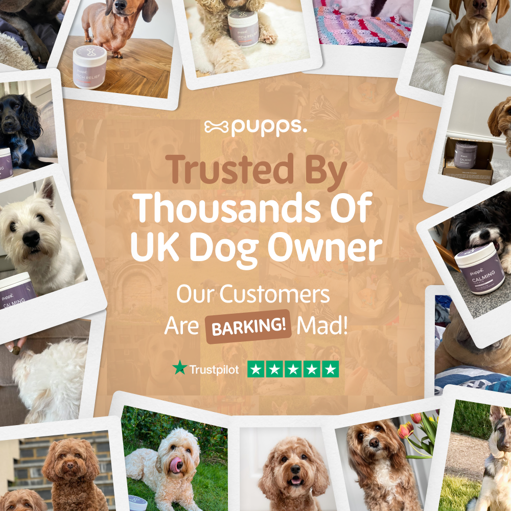 Hip & Joint Treats for Dogs by Pupps – image 9