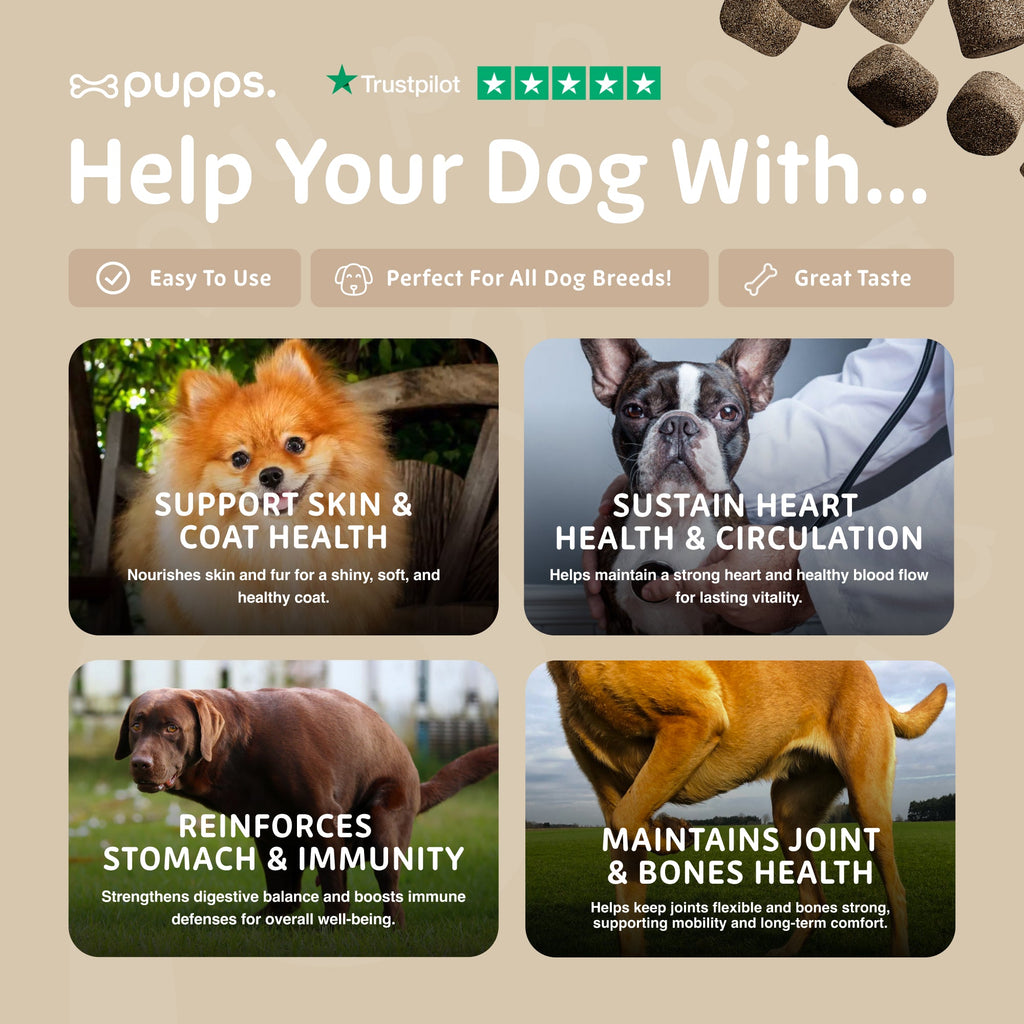 Multivitamin Treats for Dogs by Pupps – image 4