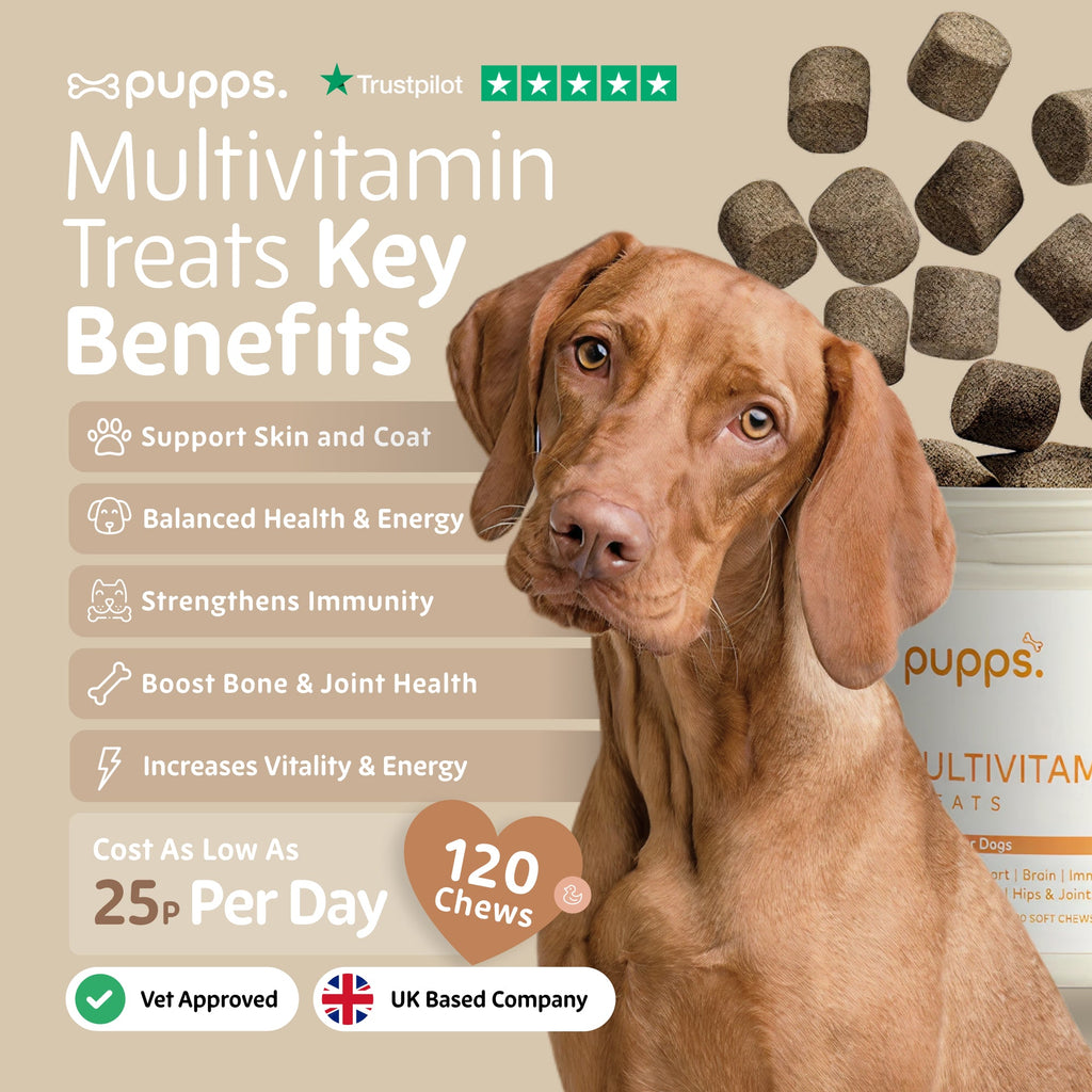 Multivitamin Treats for Dogs by Pupps – image 2