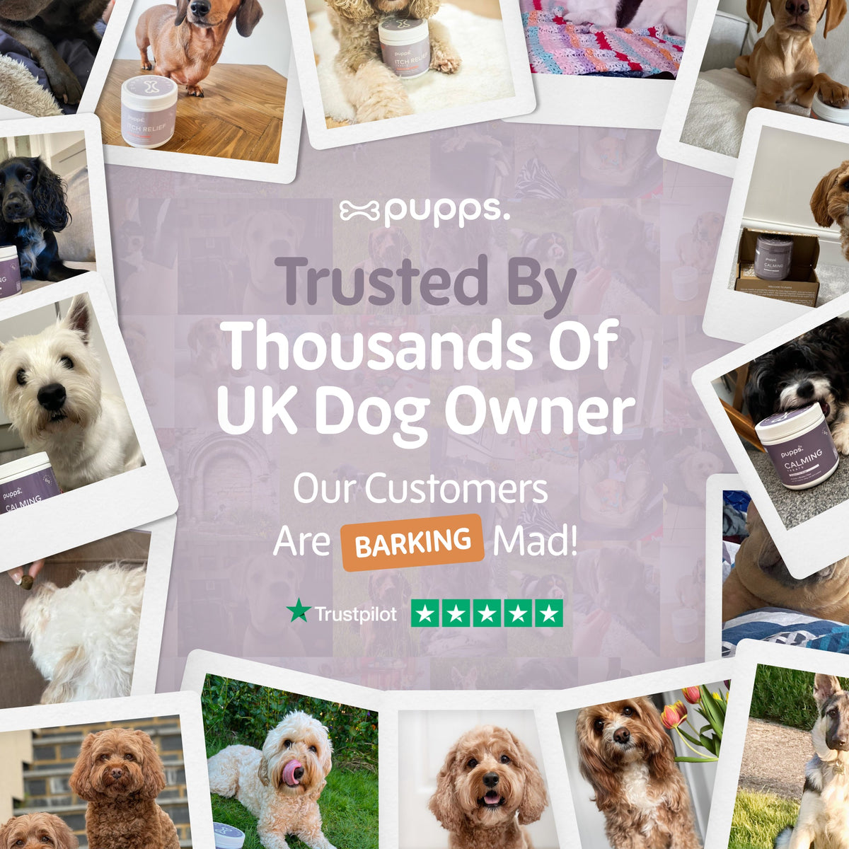 Itch Relief Treats for Dogs by Pupps – image 7