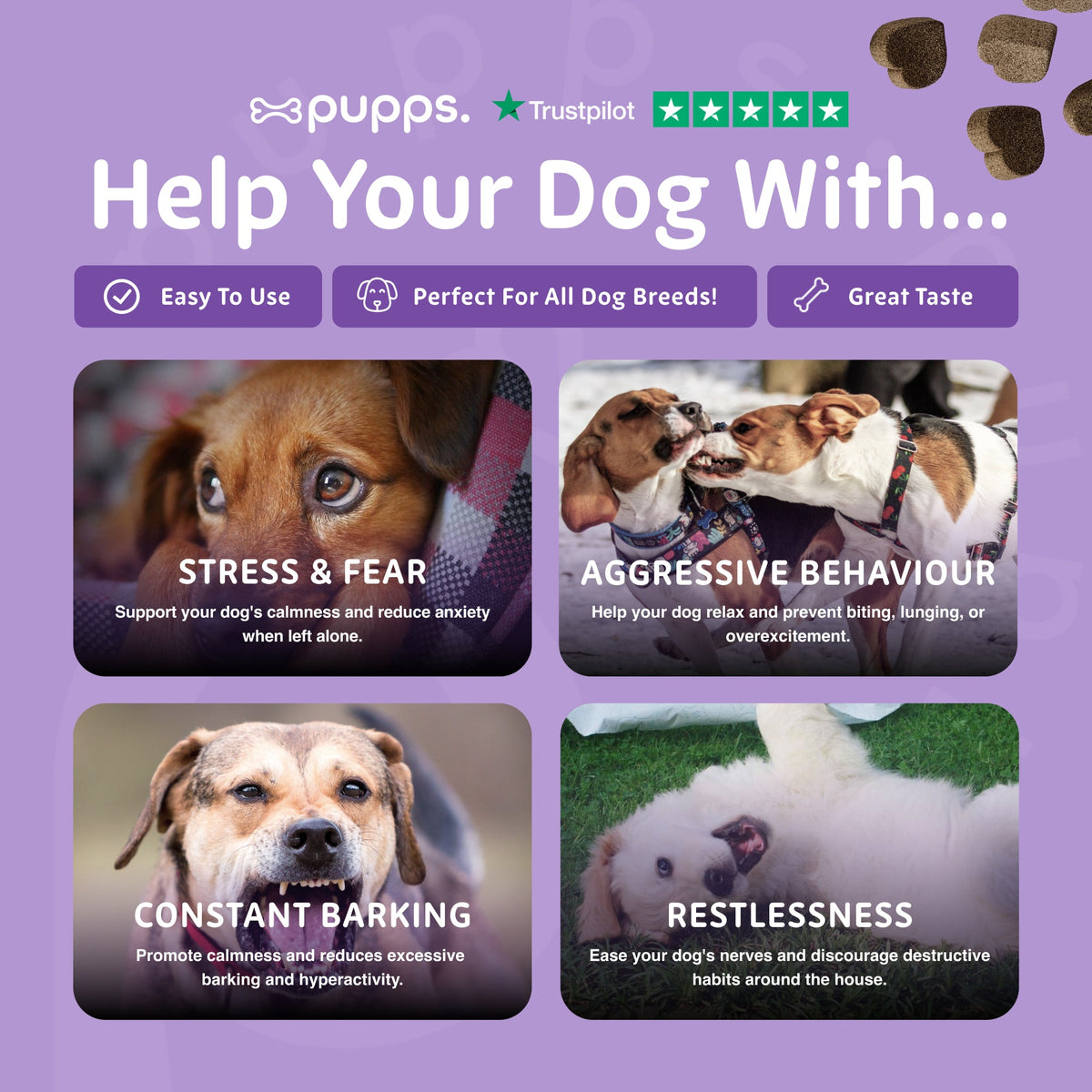 Calming Treats for Dogs by Pupps – image 7