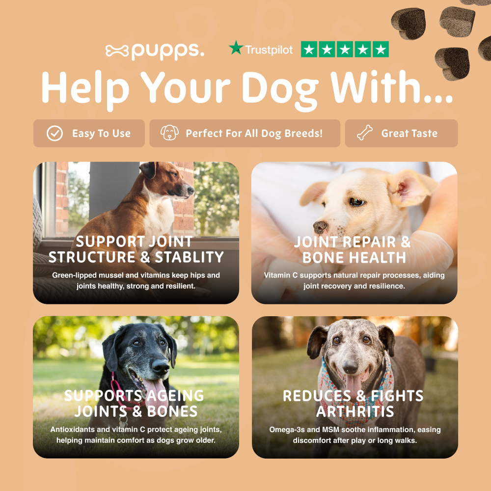 Hip & Joint Treats for Dogs by Pupps – image 7