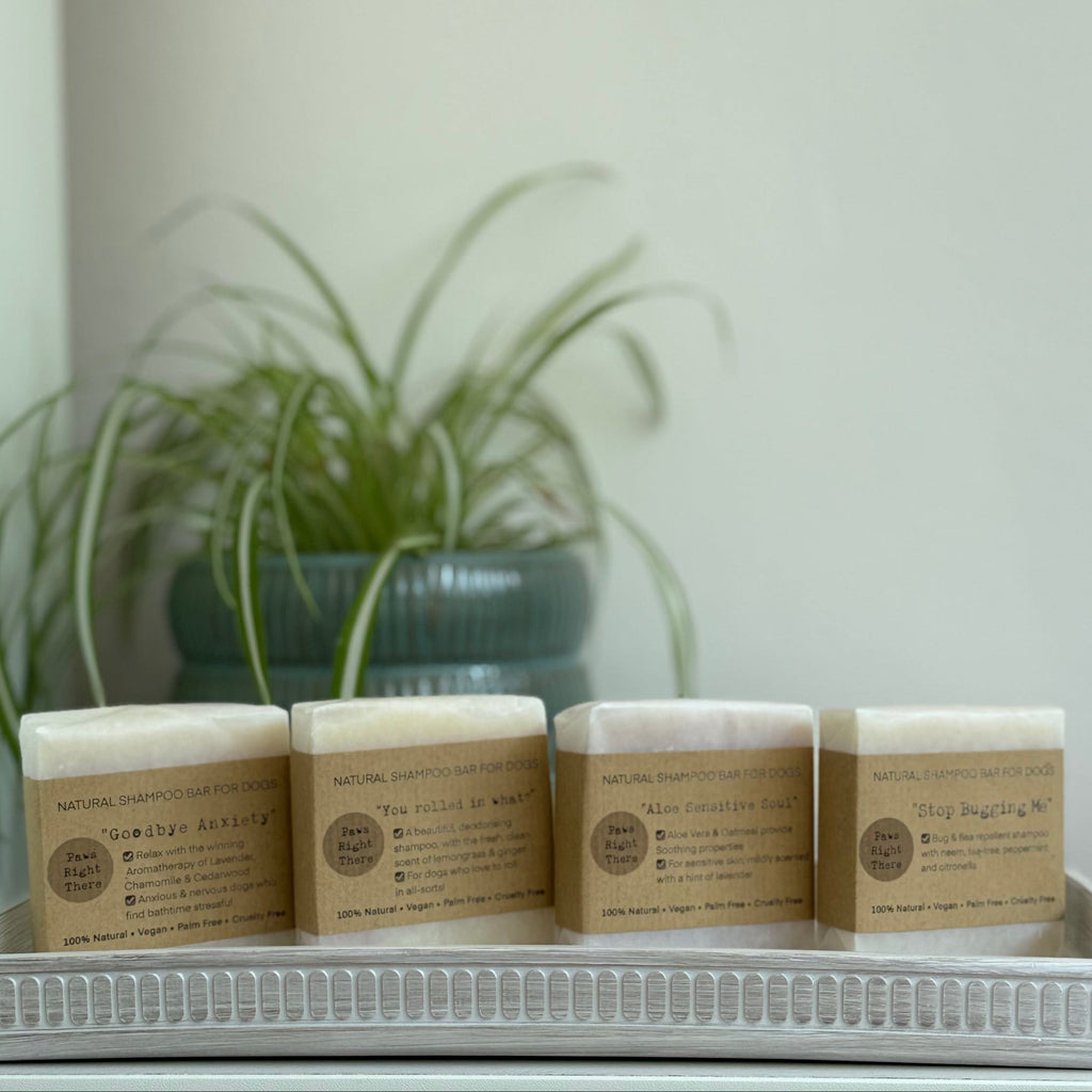 You Rolled in What?! Natural Deodorising Dog Shampoo Bar – 80g product image