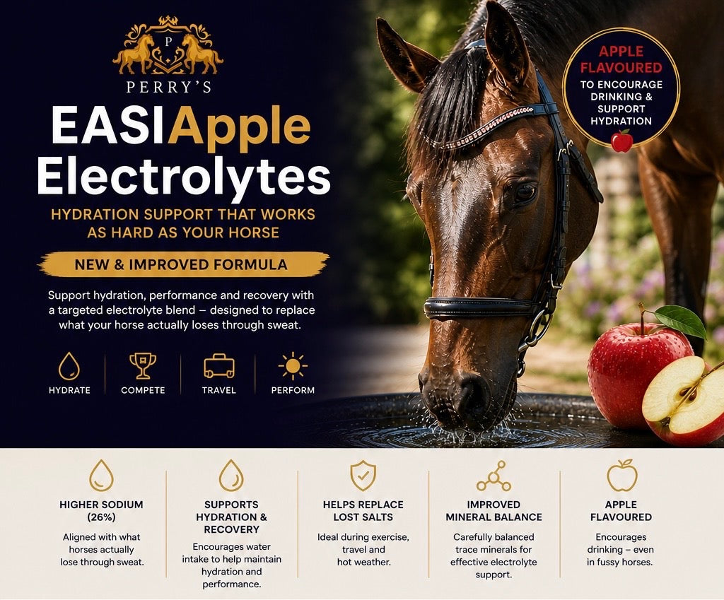 Perry Nutrition EASIApple Electrolytes for Horses