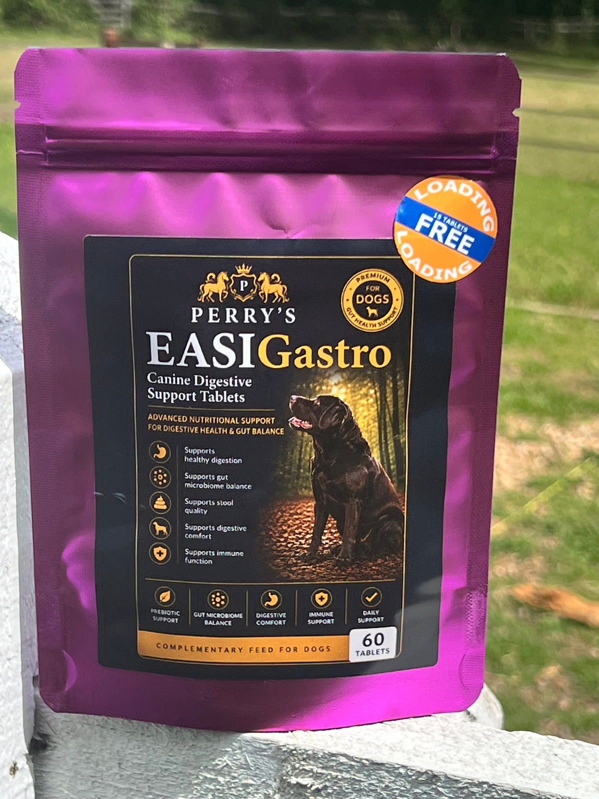 EASIGastro Canine Digestive Support Tablets product image