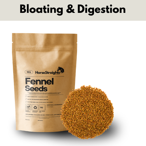 Fennel Seeds for Horses