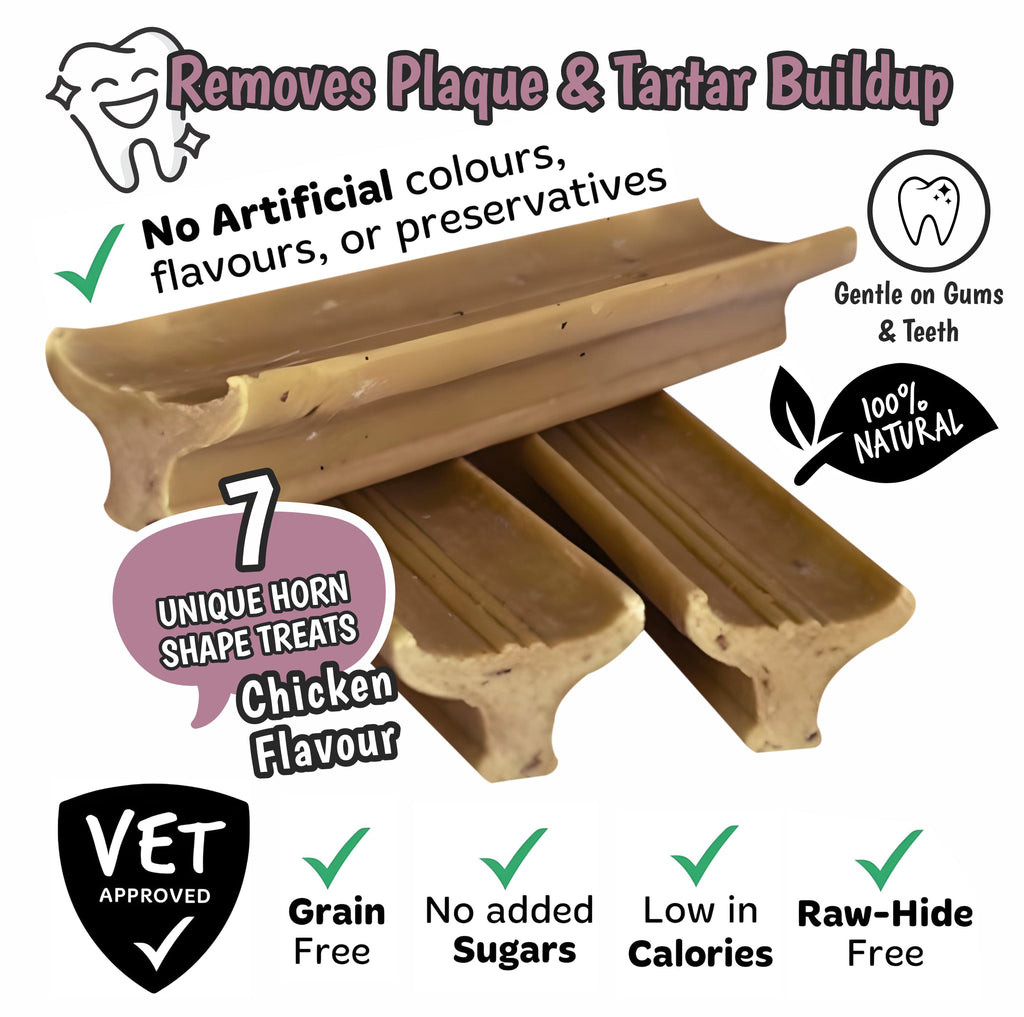 Gently Dently Chicken Dental Treats for Dogs | 175g product image