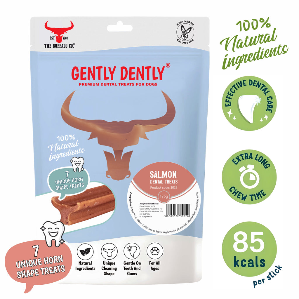 Gently Dently Salmon Dental Treats for Dogs | 175g product image