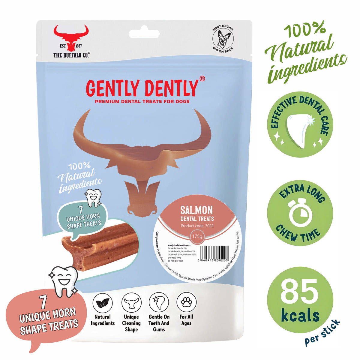 Gently Dently Salmon Dental Treats for Dogs | 175g product image