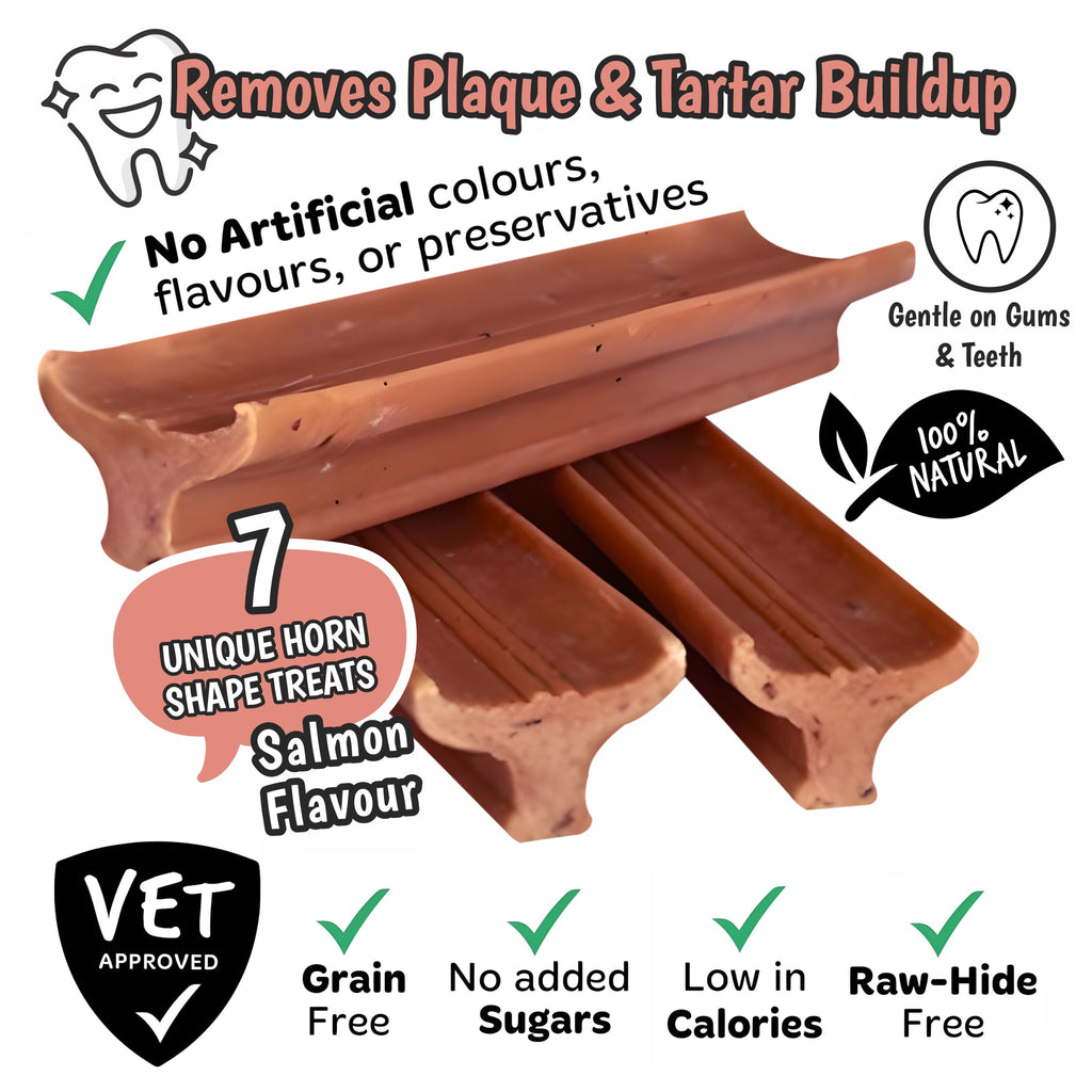 Gently Dently Salmon Dental Treats for Dogs | 175g product image