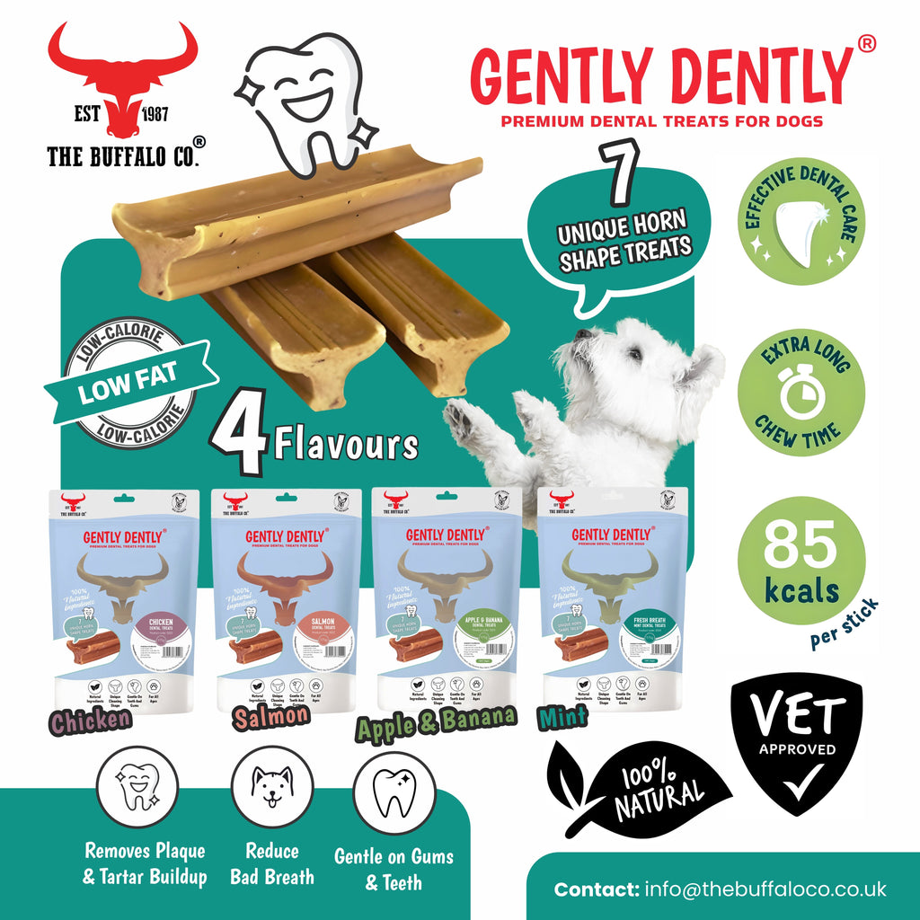 Gently Dently Apple & Banana Dental Treats for Dogs | 175g product image