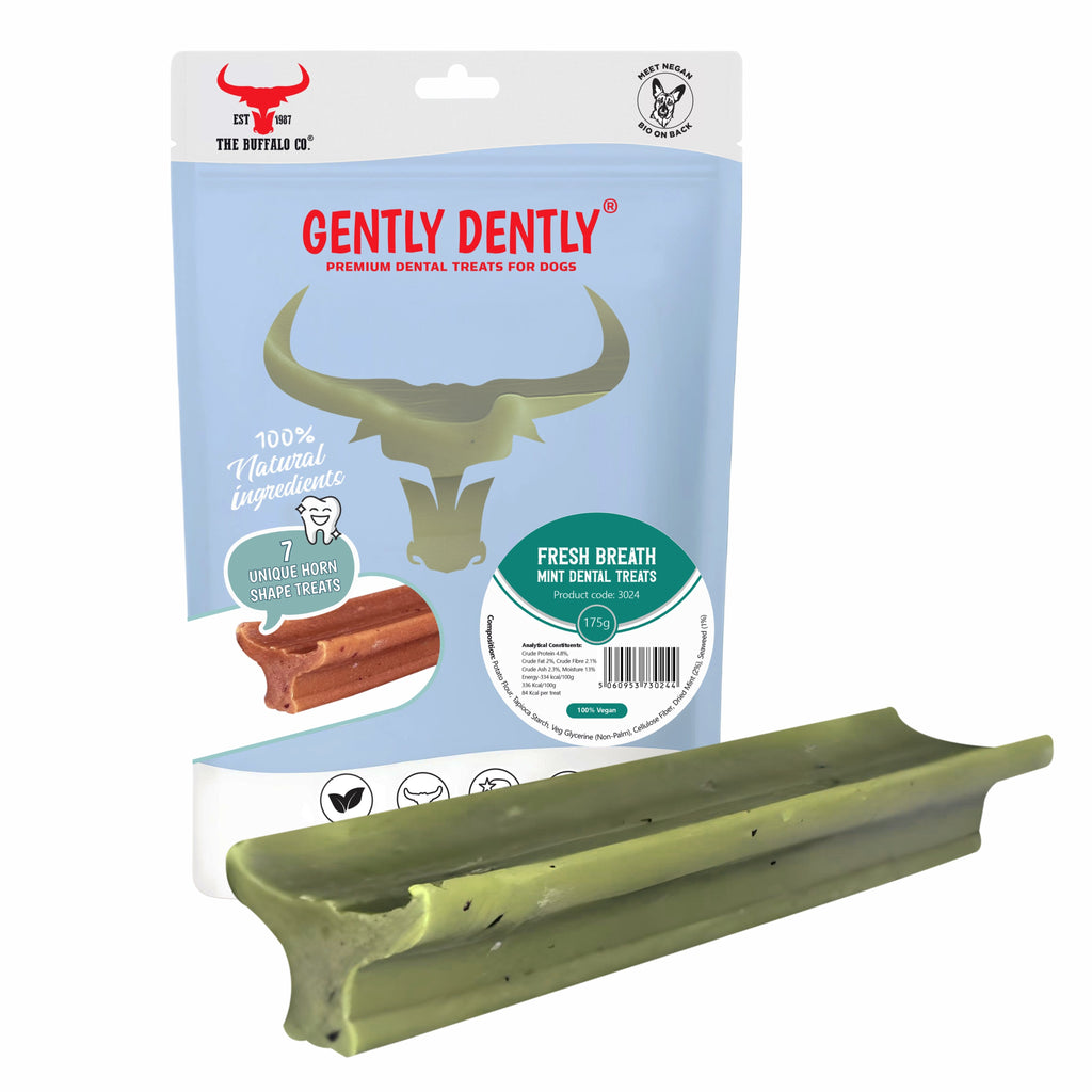 Gently Dently Fresh Breath Mint Dental Treats for Dogs | 175g product image
