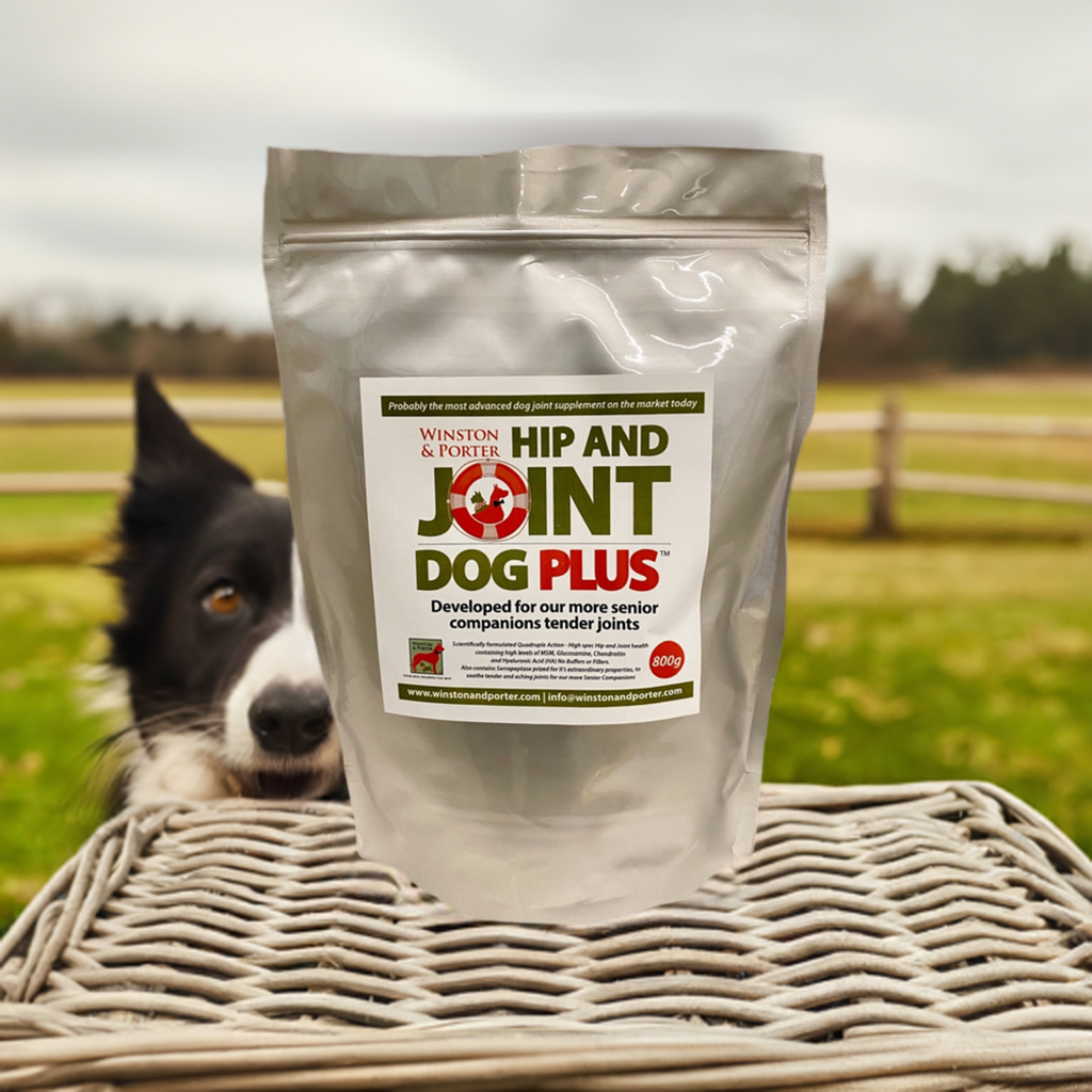 Hip & Joint Dog PLUS | High-Strength Joint Support by Winston and Porter – image 7