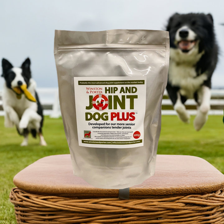 Hip & Joint Dog PLUS | High-Strength Joint Support