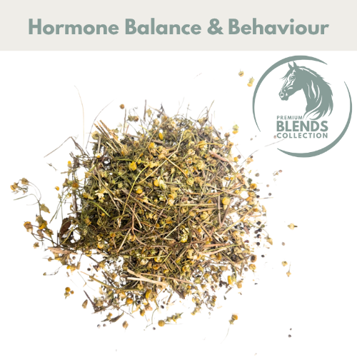 Hormonal Support Blend for Mares - image 2 - Wellbeing Pets